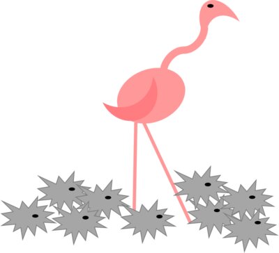 Flamingo picture