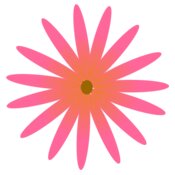 Pink and Orange Flower