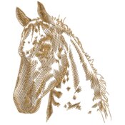 Horses