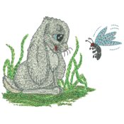 Rabbit